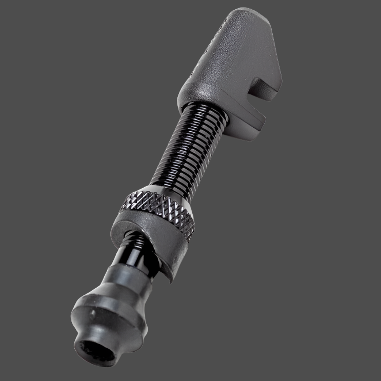 DT SWISS - TUBELESS VALVES